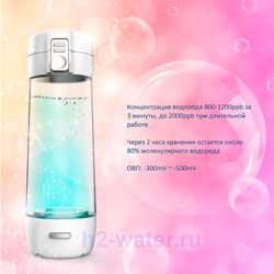 w_11_250 Генератор водородной воды H2Day - FW2010 (Тайвань) - H2H2O