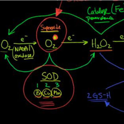Обновление о молекулярном водороде в связи с коронавирусом COVID 19