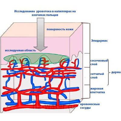 400_kapilari статьи о молекулярном водороде и генераторах водородной воды H2-WATER.RU - H2H2O
