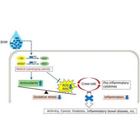 Антиоксидантные и противовоспалительные эффекты водородной воды - статья японских ученых